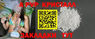 мет Кингисепп