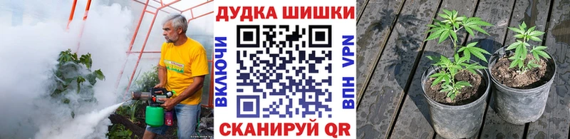 МАРИХУАНА Amnesia  Алапаевск 
